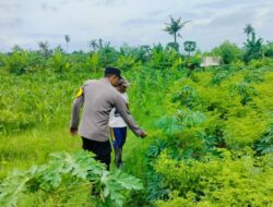 Polsek Labuapi Kawal Ketahanan Pangan di Lombok Barat