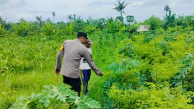 Sinergi Polsek Labuapi dan Petani Jaga Ketahanan Pangan