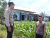 Bhabinkamtibmas Labuapi Sulap Lahan Kosong Warga