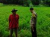 Langkah Kreatif Warga Lombok Barat Sulap Pekarangan Kosong Jadi Sumber Ketahanan Pangan Mandiri