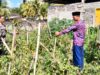 Bhabinkamtibmas Desa Jango Ajak Warga Dukung Program Ketahanan Pangan Nasional