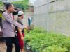 Ubah Lahan Kosong Jadi Sumber Gizi, Cara Bhabinkamtibmas Bajur Perkuat Ketahanan Pangan