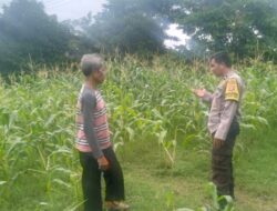 Polsek Labuapi Dukung Ketahanan Pangan di Desa Bagik Polak