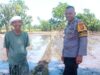 Bhabinkamtibmas Kuranji Dorong Warga Sukseskan Ketahanan Pangan