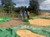 BHABINKAMTIBMAS DESA ADU PANTAU PENJEMURAN HASIL PANEN JAGUNG WARGA, DUKUNG KETAHANAN PANGAN NASIONAL
