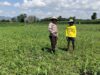 Ketahanan Pangan Nasional, Bhabinkamtibmas Polsek Bolo Intensifikan Pemantauan Pertumbuhan Jagung Warga Binaan