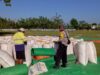 BHABINKAMTIBMAS DESA SAWE MONITORING HASIL PANEN JAGUNG WARGA, DUKUNG PENYERAPAN HASIL PANEN MELALUI BULOG