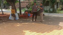 Polri Dukung Astacita, Polsek Semanding Polres Tuban Turun Cek Tanaman jagung milik Warga di Desa Prunggahan kulon