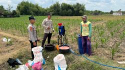 Anggota Unit Binmas Polsek Senori Polres Tuban Membantu Proses Pemupukan Tanaman Jagung Warga Desa Jatisari