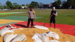 Bhabinkamtibmas dan Petani Bersinergi Perkuat Ketahanan Pangan di Kabupaten Dompu