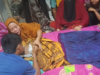 Polsek Plampang Evakuasi Jenazah Pelajar yang Tenggelam di Bendungan Tiu Kulit Maronge