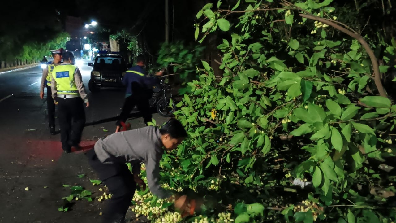 Patroli Malam Polsek Batulayar Evakuasi Pohon Tumbang di Tanjakan Alberto