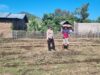 MELALUI PENDAMPINGAN PETANI, POLRI PERKUAT KETAHANAN PANGAN DARI DESA