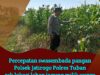Dukung Astacita, Polsek Jatirogo Polres Tuban Pantau Langsung Lahan Jagung Warga Desa Sidomulyo