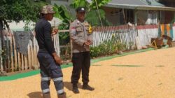 BHABINKAMTIBMAS POLSEK HU’U DAMPINGI PETANI PASCA PANEN, DORONG PRODUKTIVITAS PERTANIAN MENUJU INDONESIA EMAS