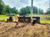 Polsek Jatirogo Polres Tuban tanam bibit jagung bersama Petani di lahan produktif milik warga Desa Sugihan