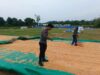 Dukung Ketahanan Pangan, Polsek Bancar Monitoring Proses Pasca-Panen Jagung di Desa Tergambang