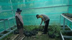 BHABINKAMTIBMAS POLSEK DOMPU DORONG WARGA KEMBANGKAN PEKARANGAN PANGAN LESTARI UNTUK PERKUAT KETAHANAN PANGAN DAN GIZI