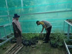 BHABINKAMTIBMAS POLSEK DOMPU DORONG WARGA KEMBANGKAN PEKARANGAN PANGAN LESTARI UNTUK PERKUAT KETAHANAN PANGAN DAN GIZI