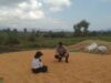 Pantau Hasil Panen Jagung, Bhabinkamtibmas desa Saneo Ajak Petani Salurkan Hasil ke Bulog dan Manfaatkan Pekarangan Produktif