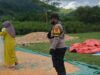 Pantau Masa Panen, Bhabinkamtibmas Desa Sebeok Pastikan Kelancaran Hasil Pertanian Jagung Warga
