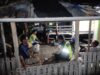 Patroli Dialogis di Brang Ene, Polisi Ajak Warga Waspadai Hoaks dan TPPO