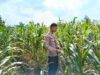 Polsek Singgahan Polres Tuban Turun Cek Tanaman jagung Warga di Desa Mulyorejo