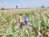 Polsek Tambakboyo Polres Tuban Turun Cek Tanaman jagung Warga di Desa Plajan