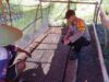 BHABINKAMTIBMAS DESA DOREBARA DORONG PEMANFAATAN LAHAN PEKARANGAN UNTUK MENDUKUNG KETAHANAN PANGAN KELUARGA