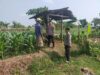 Kanit Binmas Bersama Bhabinkamtibmas Polsek Tuban Monitoring Lahan Jagung Warga Dukung Ketahanan Pangan