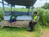 Polsek Montong Polres Tuban Turun Cek Tanaman jagung Warga di Desa Talun