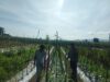Bhabinkamtibmas Polsek Manggelewa Dorong Pemanfaatan Pekarangan Produktif, Wujud Dukungan Polri terhadap Program Ketahanan Pangan