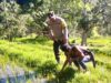 Dukung Ketahanan Pangan, Bhabinkamtibmas Desa Tangkampulit Pantau Petani Bersihkan Lahan Sawah