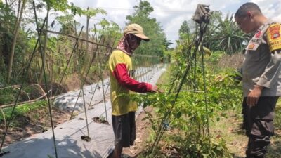 Cara Bhabinkamtibmas Lombok Barat Sukseskan Kemandirian Pangan