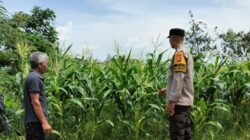 Polsek Labuapi Dorong Warga Manfaatkan Lahan Kosong