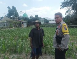 Cara Bhabinkamtibmas Desa Sandik Sukseskan Ketahanan Pangan