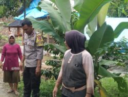 Polsek Lembar Perkuat Ketahanan Pangan di Labuan Tereng