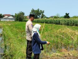 Bhabinkamtibmas Labuapi Dampingi Petani Sukseskan Ketahanan Pangan