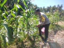 Bhabinkamtibmas Desa Paok Lombok Laksanakan Sambang dan Monitoring Ketahanan Pangan untuk Pererat Kemitraan dengan Warga