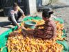 Gukung Program Ketahanan Pangan Bhabinkamtibmas Desa Bagik Papan Cek Hasil Panen Jagung