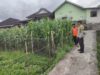 Bhabinkamtibmas Desa Paokmotong Monitoring Program Ketahanan Pangan, Dukung Swasembada Pangan Pemerintah