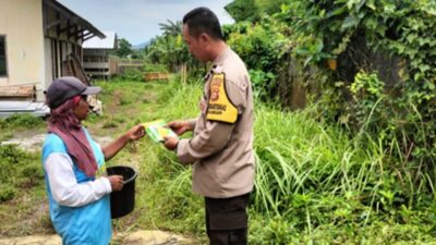 Gaya Hidup Baru Warga Labuapi Sulap Lahan Terbengkalai Menjadi Pekarangan Bergizi Penopang Dapur Rumah
