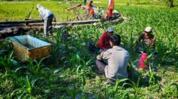 Bhabinkamtibmas Desa Embung Kandong Jalin Silaturahmi dengan Petani, Sampaikan Himbauan Kamtibmas