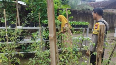 Sentuhan Humanis Polri di Desa Bengkel Dampingi Petani Rawat Padi demi Ketahanan Pangan