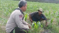 Dukung Swasembada Pangan, Polsek Batulayar Ajak Warga Lombok Barat Manfaatkan Lahan Pekarangan
