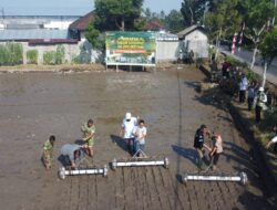 Kolaborasi TNI dan Petani Wujudkan Swasembada Pangan di Lombok Barat