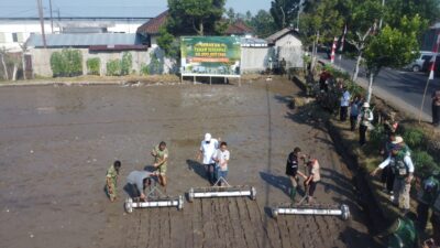 Kolaborasi TNI dan Petani Wujudkan Swasembada Pangan di Lombok Barat
