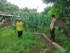Pendampingan petani oleh Bhabinkamtibmas wujud komitmen polri untuk ketahanan pangan