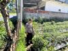 Bhabinkamtibmas Desa Kumbang Perkuat Ketahanan Pangan Lewat Sambang Warga dan Monitoring Lahan Pertanian