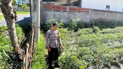 Bhabinkamtibmas Desa Kumbang Perkuat Ketahanan Pangan Lewat Sambang Warga dan Monitoring Lahan Pertanian